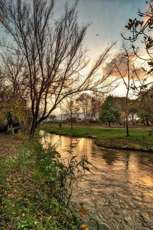 הפינה בנחל Διαμέρισμα Hagoshrim Εξωτερικό φωτογραφία